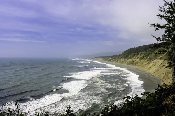 trinidad Beach head
