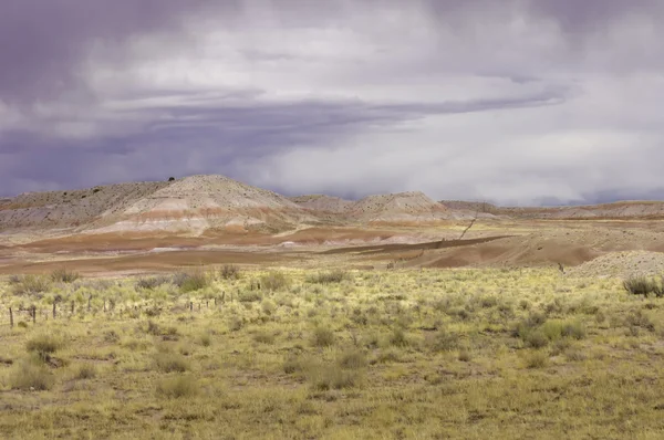 Arizona Felder, Dünen mit Zäunen — Stockfoto