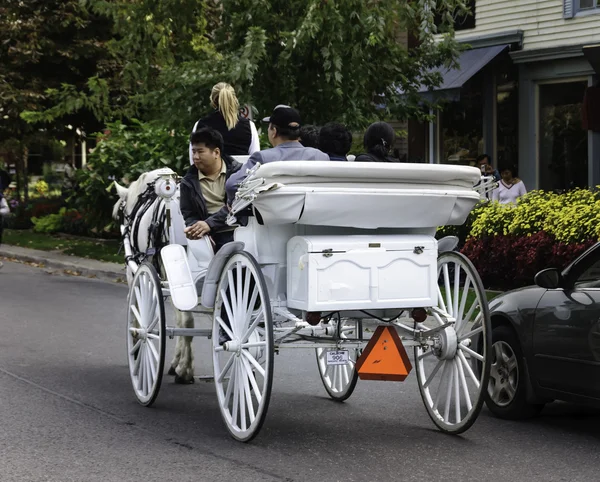 Turister tar en tur i en vit häst-vagn — Stockfoto