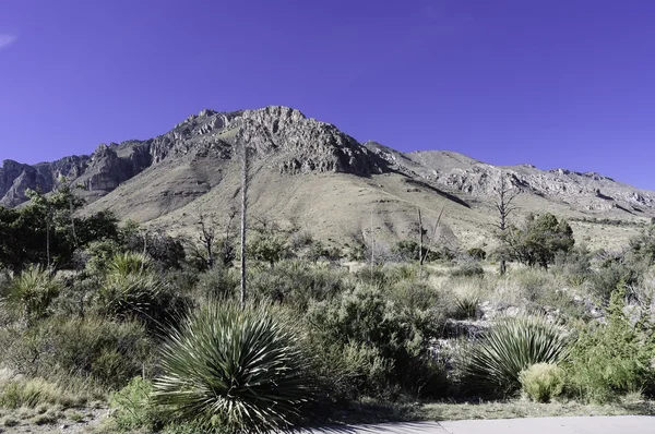 Guadalupe mountains vorming — Stockfoto