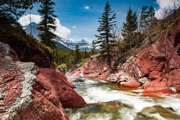 Red Rock Patak Mozgásban Kanyonban Waterton Lakes Nemzeti Parkban Albertában Stock Kép