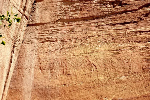 Petroglyph Sculptures Art Rupestre Amérindiens Sur Mur Canyon Freemont National — Photo