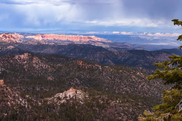 Scenic View Pine Trees Ponderosa Canyon Ponderosa Canyon Bryce National — Stockfoto