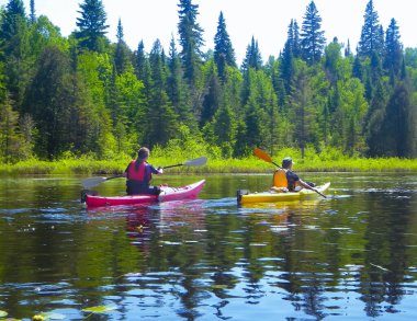 man and woman in kayak  among yellow water lily flowers on a pond , taken in Quebec, Canada