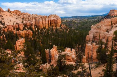çam ağaçları ve bryce canyon Milli Parkı, utah, ABD fairyland noktadan hoodoos