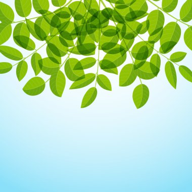 arka plan bitki örtüsü ile