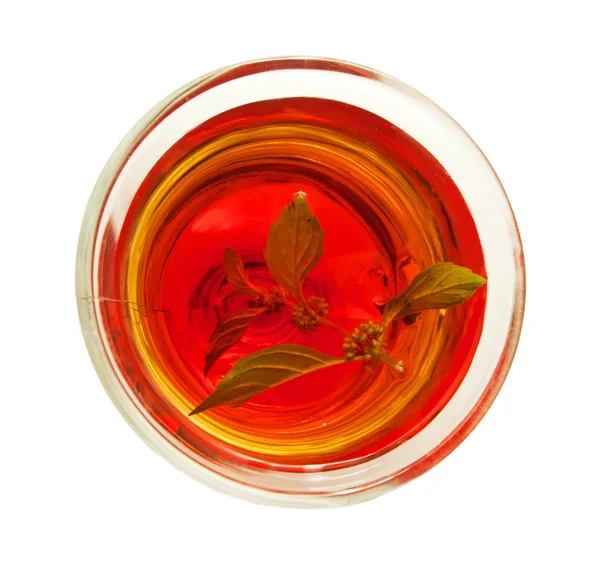 Taza de té con hojas de melisa aisladas sobre fondo blanco . —  Fotos de Stock