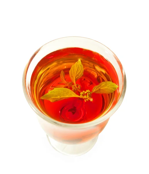 Чашка чая с листьями мелиссы изолированы на белом фоне . — стоковое фото