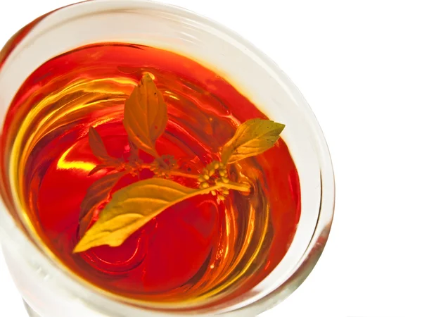Чашка чая с листьями мелиссы изолированы на белом фоне . — стоковое фото