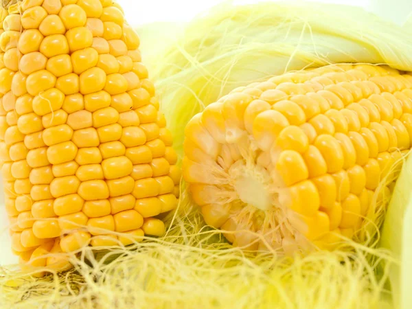 Uma espiga de milho macro — Fotografia de Stock