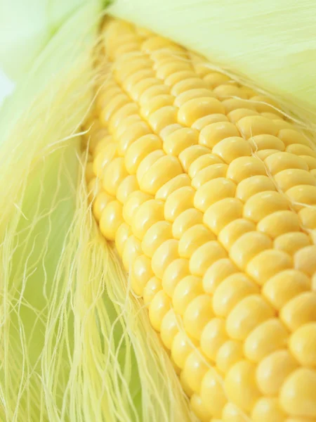 An ear of corn macro
