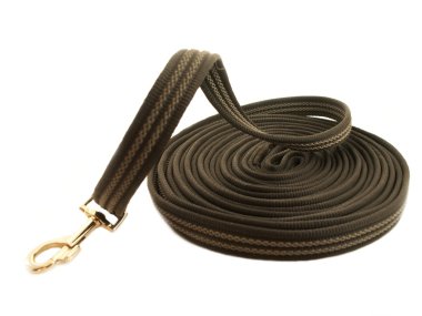 için çalışma at üzerinde beyaz izole lungeing dizgin