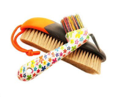 Brush and colorful hoof hook for horse isolated clipart