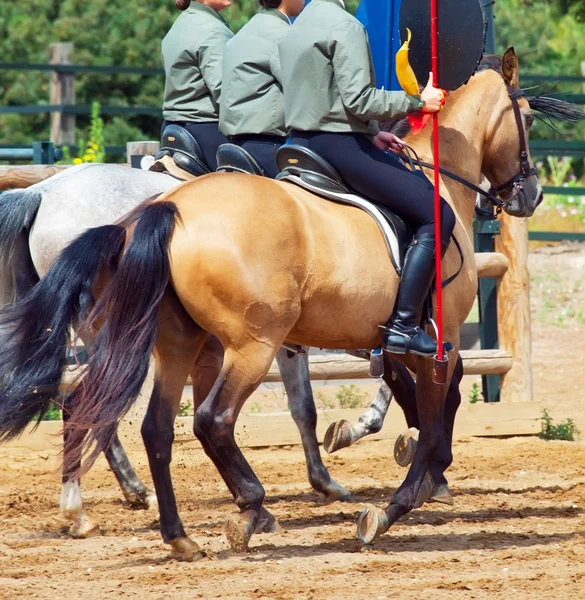 Espectáculo rural espanhol com cavalos. Andaluzia, Espanha — Fotografia de Stock