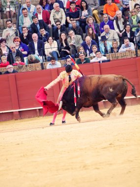 Sevilla-20 mei: novilladas in plaza de toros de sevilla. novill