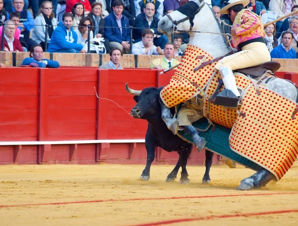 Fighting black young bull with horse in arena. Spain. — Stock Photo, Image