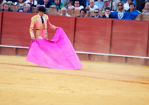 Sevilla-20 mei: novilladas in plaza de toros de sevilla. novill