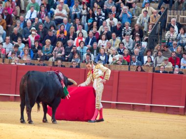 Sevilla-20 mei: novilladas in plaza de toros de sevilla. novill