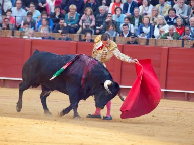 Sevilla-20 mei: novilladas in plaza de toros de sevilla. novill