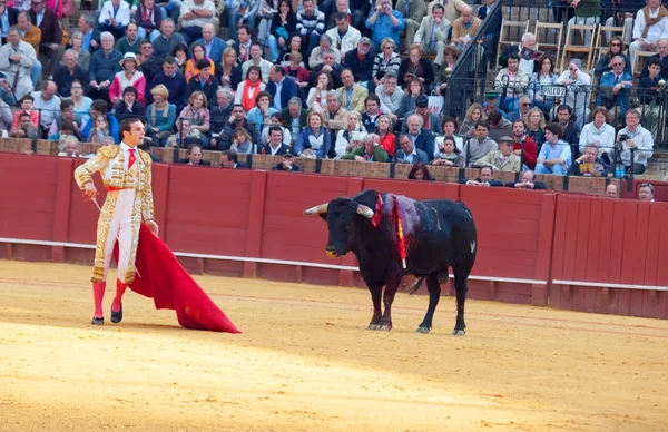 SEVILLA-20 DE MAYO: Novilladas en la Plaza de Toros de Sevilla. Novill. —  Fotos de Stock