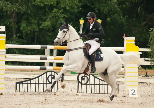 Deporte de salto ecuestre — Foto de Stock