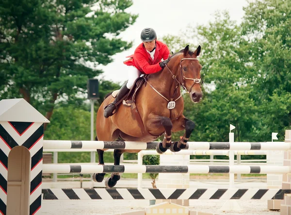 Paardensport springconcours sport — Stockfoto