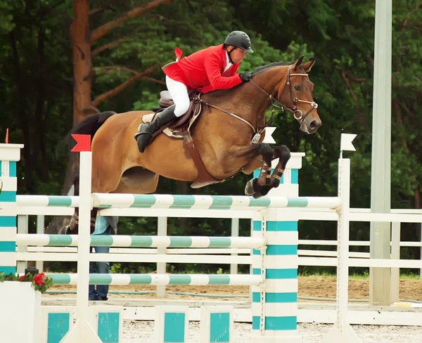 Deporte de salto ecuestre —  Fotos de Stock