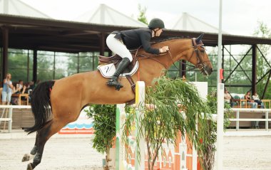 Binicilik sporu atlama