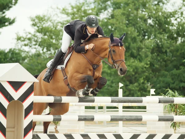 Equestrian jumping sport — Stock Photo, Image