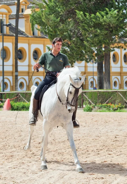 Jerez-17 MAIO: cavaleiro em cavalo branco espanhol na Escola Real Andaluz de Arte Equestre — Fotografia de Stock