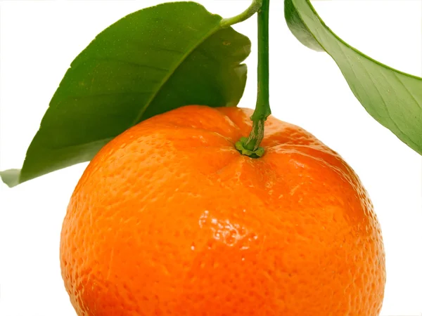 Mogen tangerine med gröna blad makro. isolerad på vit — Stockfoto