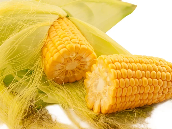 An ear of corn macro — Stock Photo, Image