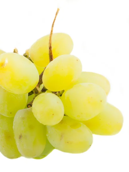 Raisins verts frais sur fond blanc — Photo