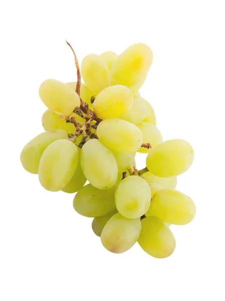 Raisins verts frais isolés sur fond blanc — Photo