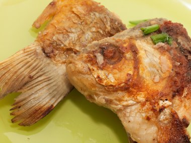 Kızarmış Balık yeşil plaka makro