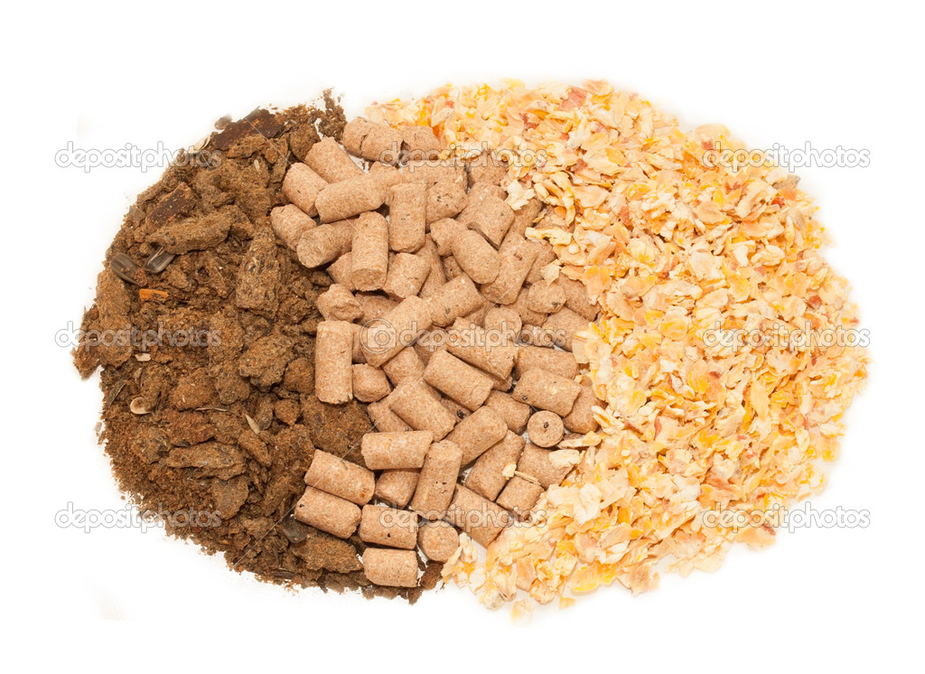 sunflower meal, maize and bran background. Food for horses and f