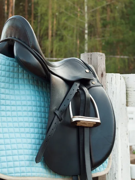 Selle de dressage — Photo