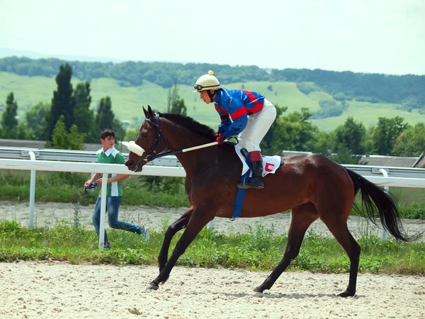 Pyatigorsk, Rusland - 7 juli: race voor de grote prijs eiken. Mare sa — Stockfoto