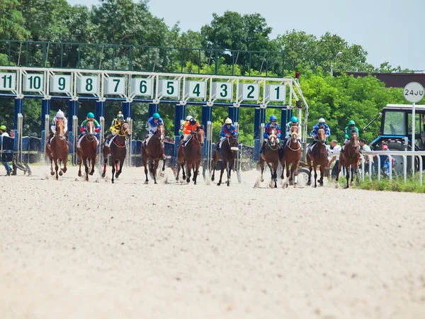 PYATIGORSK,RUSSIA - JULY 7: start of race for the Big prize OaKS — Stock Photo, Image