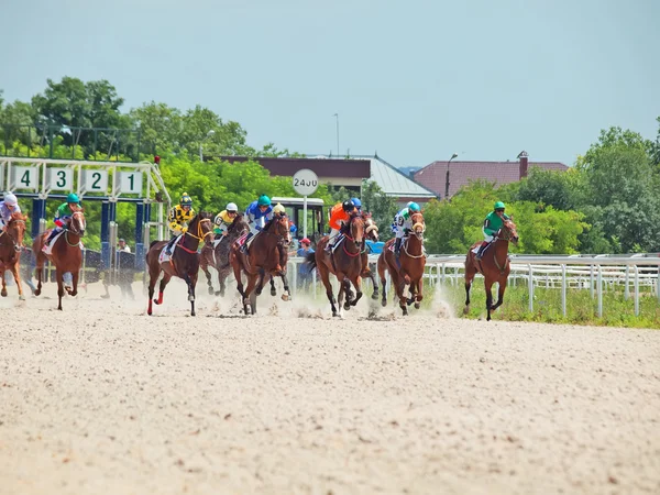 PYATIGORSK, RUSIA - 7 DE JULIO: inicio de la carrera por el Gran Premio OaKS —  Fotos de Stock