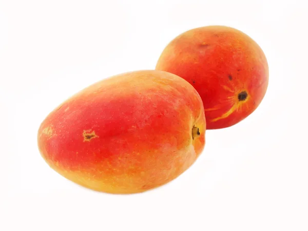 Два манго на белом фоне — стоковое фото