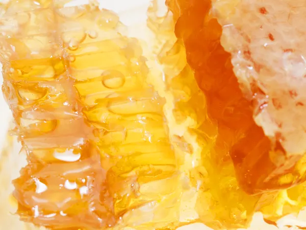 Golden fresh Honeycomb texture, close up — Stock Photo, Image