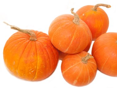 pumpkins over white clipart