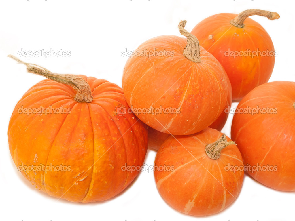 pumpkins over white