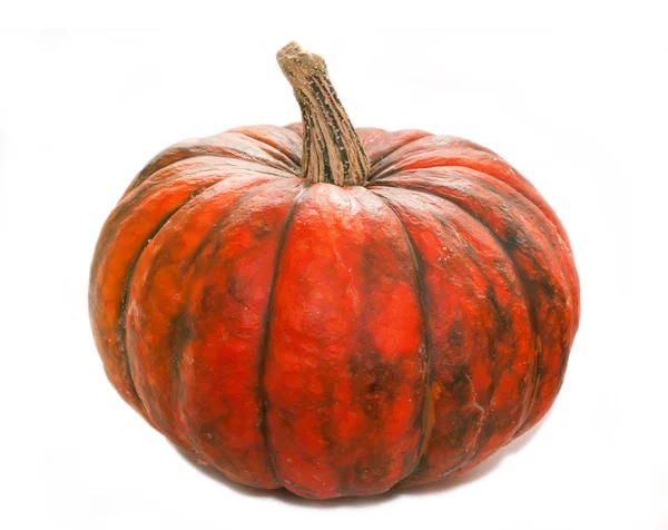 Pumpkin over white. — Stock Photo, Image