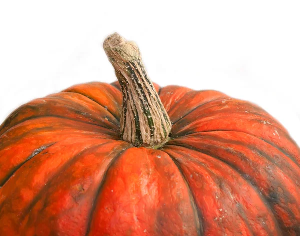 Pumpkin over white. close up — Stock Photo, Image