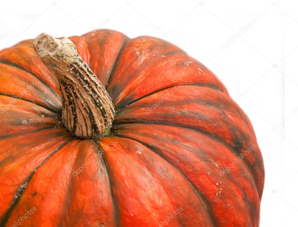 pumpkin over white. close up