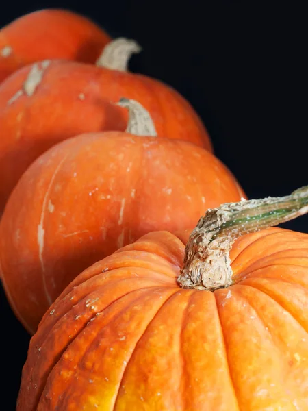 Pumpkins at the black background — Stock Photo, Image