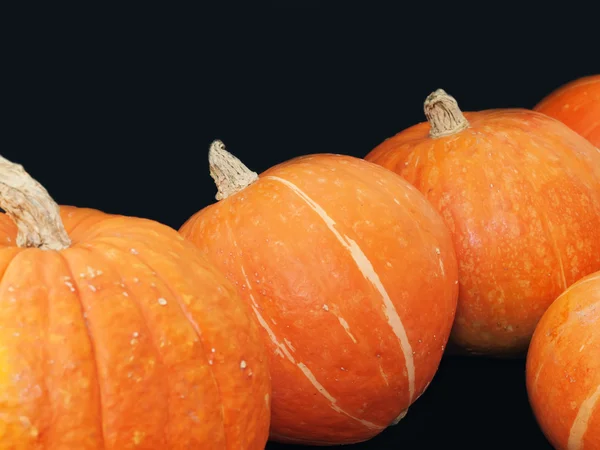 Pumpkins at the black background — Stock Photo, Image