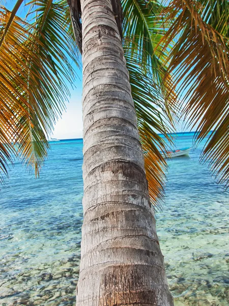 Tropical beach in Dominican republic. Caribbean sea — Stock Photo, Image